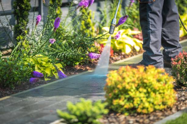 Best Sidewalk and Walkway Cleaning  in Angola On The Lake, NY